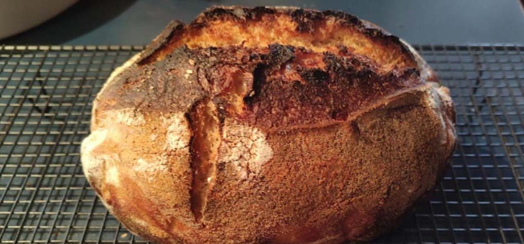 Sour Dough Bread