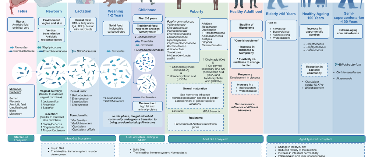 Microbes At Different Stages Of Life
